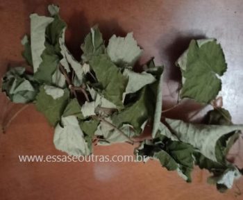 Chá de Folhas de Uva – Benefícios da Folha da Videira ou Parreira