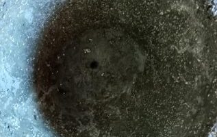 Vaso de Cimento e Isopor – Como Fazer Vaso Grande em Casa