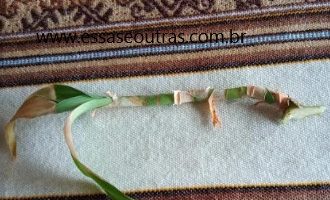 Caule do Bambu Amarelando – Como Salvar Bambu da Sorte e Cuidados