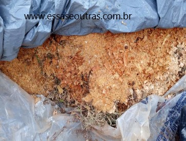 como-usar-serragem-na-horta-perigos
