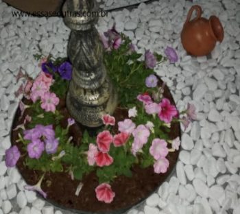 Como Cultivar Petúnia – Foto da Muda e Como Cuidar da Planta Pendente