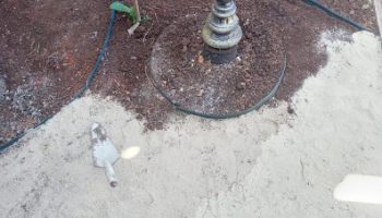 Como Fazer Jardim com Pedra Brita – Material usado e Dicas para Plantar