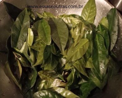 pode-congelar-ora-pro-nóbis-proteínas-