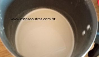 Leite de Sementes de Girassol Como Fazer Leite Vegetal em Casa