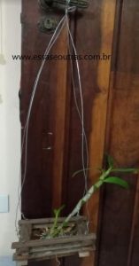 suporte-pendurador-de-vaso-de-arame-
