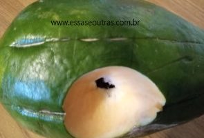 Receitas com Mamão Verde – Como Aproveitar Mamão Verde