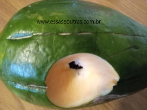 receitas-com-mamão-verde-salada-de-mamão-verde-