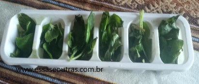 como-congelar-manjericão-no-azeite-de-oliva-