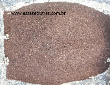 húmus-de-minhoca-peneirado-para-adubar-plantas-