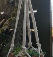 Suporte de Macramê Simples para Vaso de Coco – Como Fazer