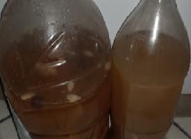 Eco-enzima nas Plantas – Efeito, Inseticida, Fertilizante