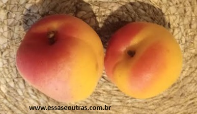 damasco-frutas-vermelhas-em-porto