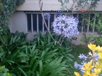 jardim-em-portugal